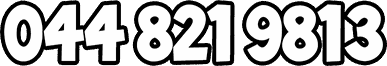0448219813